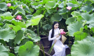 HA NOI CITY ONE DAY TRIP